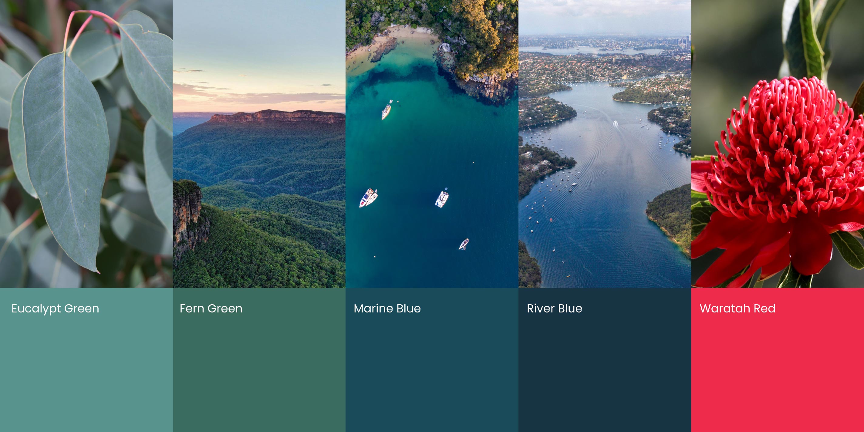 Images of Sydney and corresponding colour palette