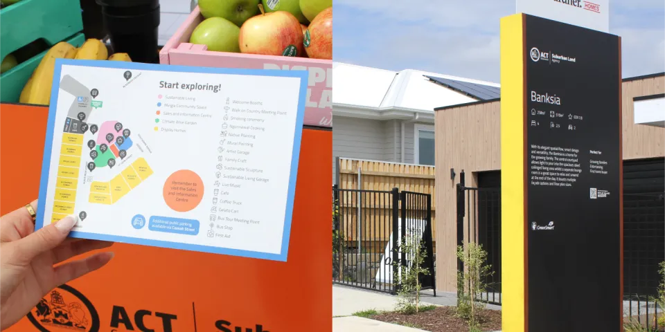 Whitlam – Impact 3